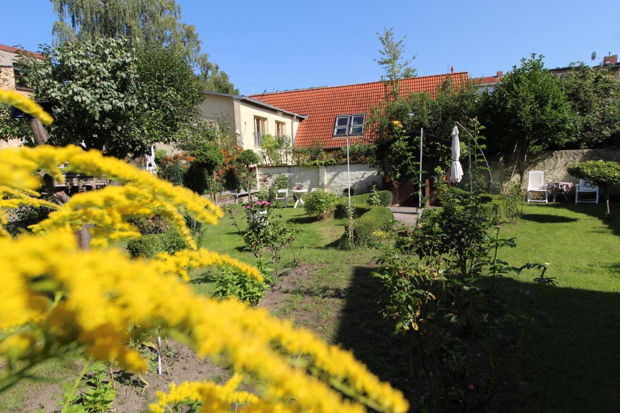 Zentrale Ferienwohnung Mit Gartennutzung Schwerin  Exterior photo